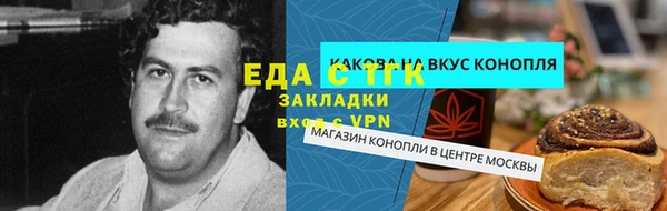 индика Михайловка
