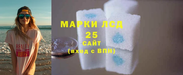 индика Михайловка