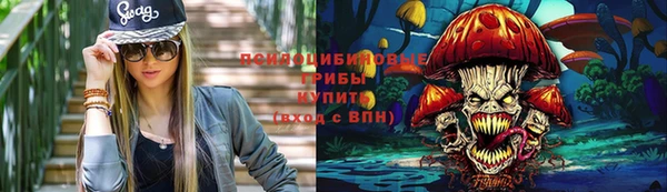 индика Михайловка