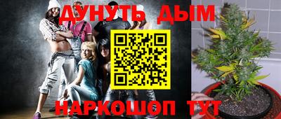 мдпв Дубна