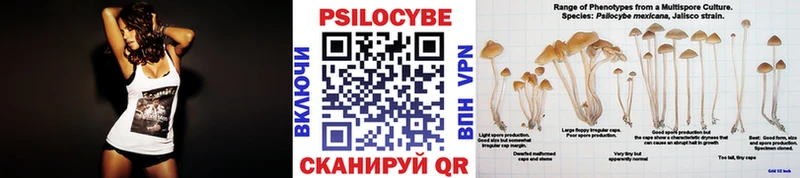Псилоцибиновые грибы прущие грибы  купить наркоту  Прокопьевск 